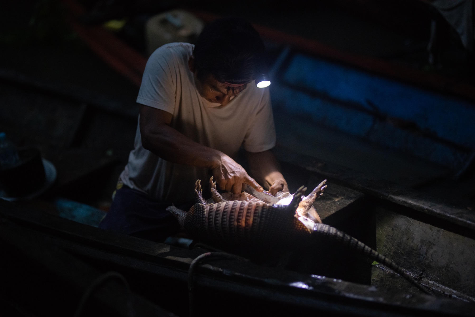 A hunter preparing a nine-banded armadillo by headlamp.