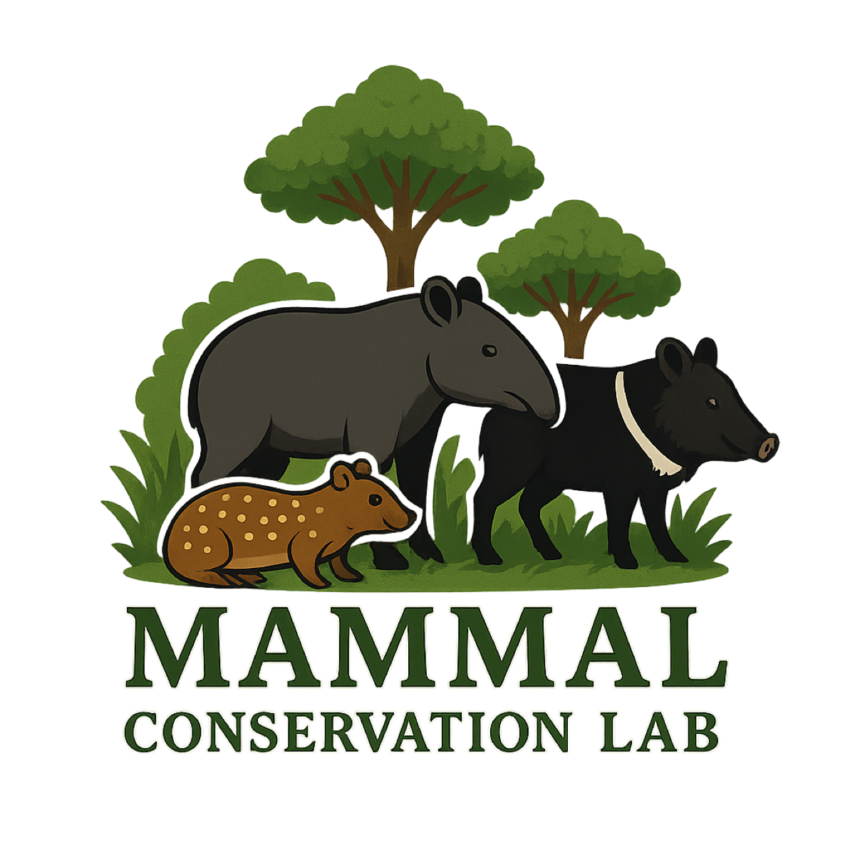 Tapir, peccary, and paca in a forest above the words Mammal Conservation Lab.